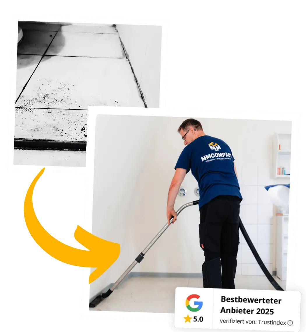 Hotelreinigung Dresden: MMCompact regelt
